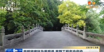 视频 崇明将建环岛景观道 首期工程年内启动