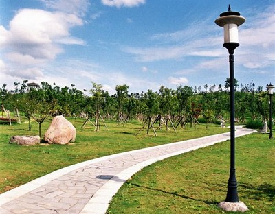 义乌市实验小学园林绿化与景观工程建设 打造生态教育新典范