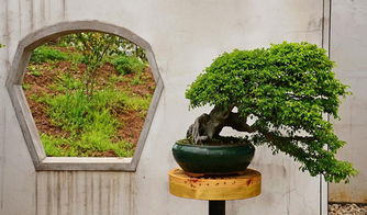 诗城人家 马鞍山园林艺术的一颗璀璨明珠